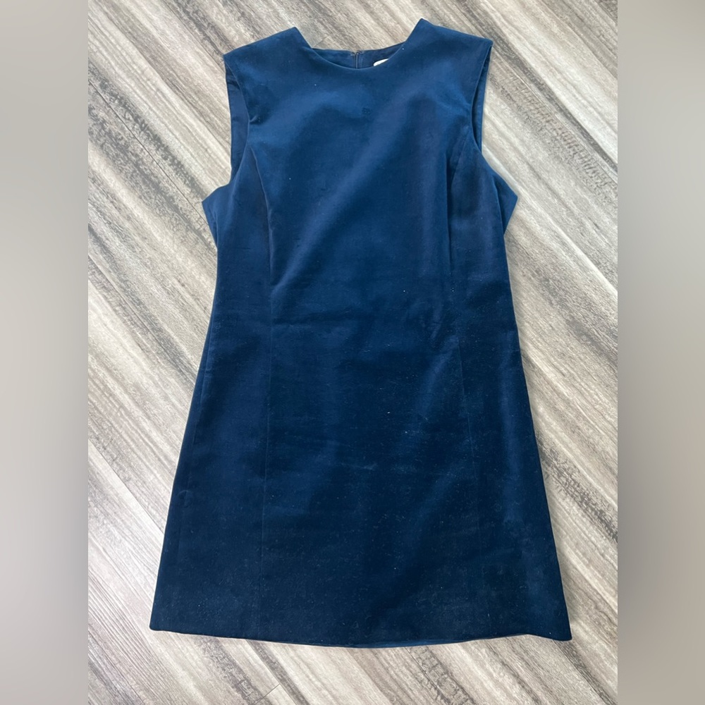 Zara dress. Worn twice. Blue velvet